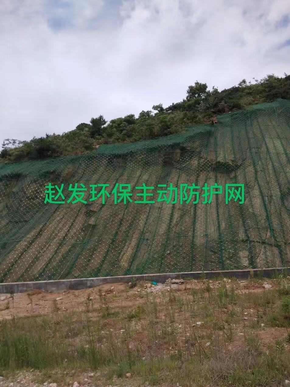 邊坡防護網綠化應遵循的原則有哪些？