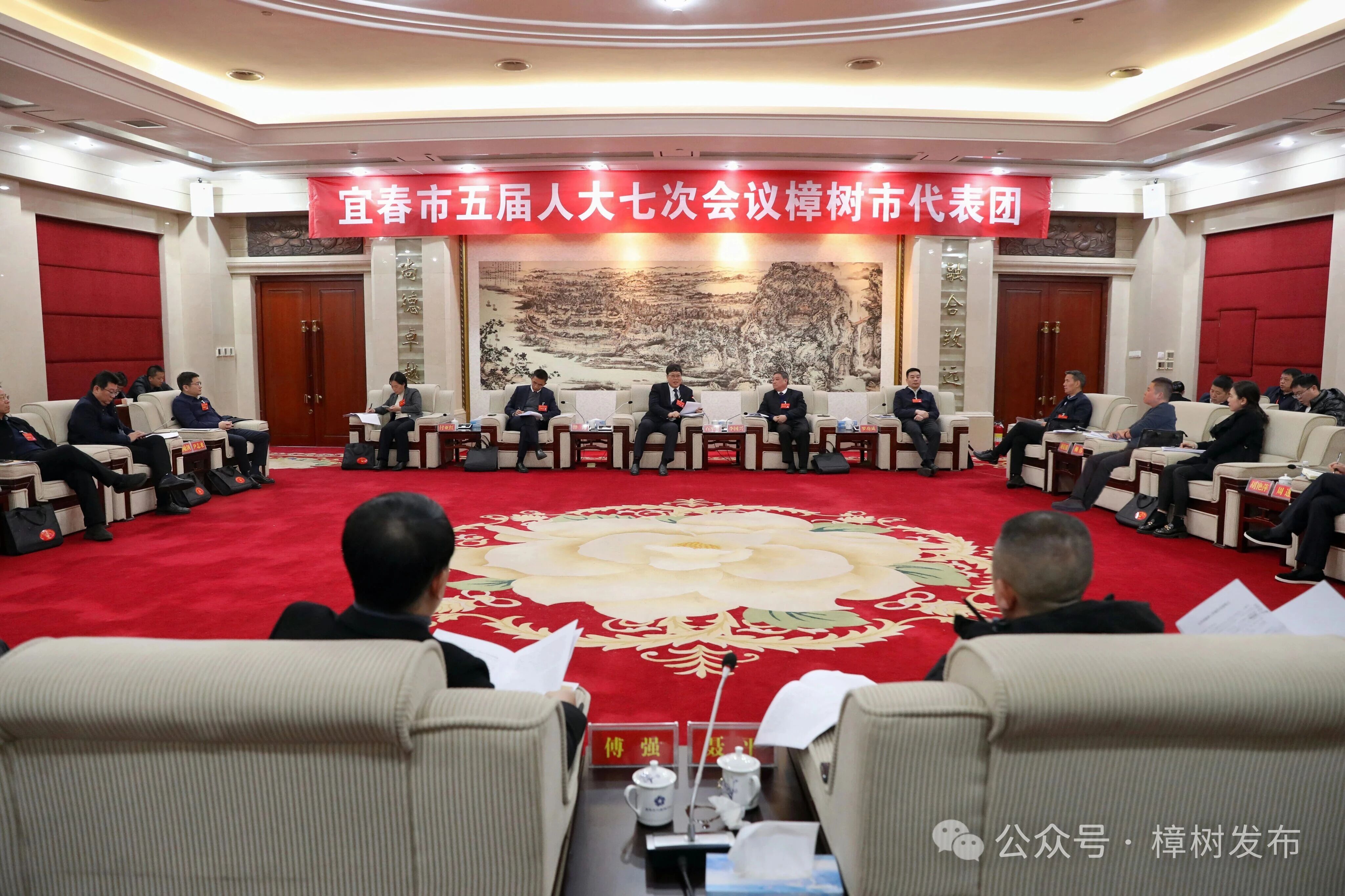 石軍英參加樟樹代表團審議